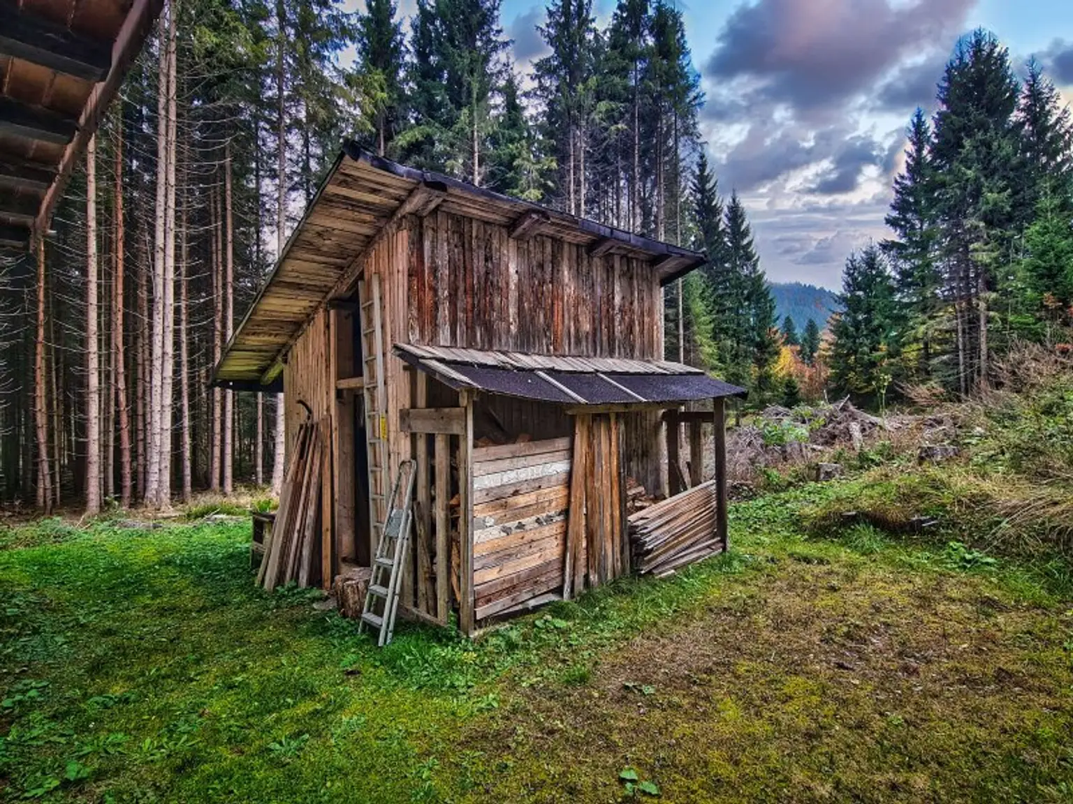 Teilsaniertes Wohnhaus am Waldesrand am Fuße der Nockberge