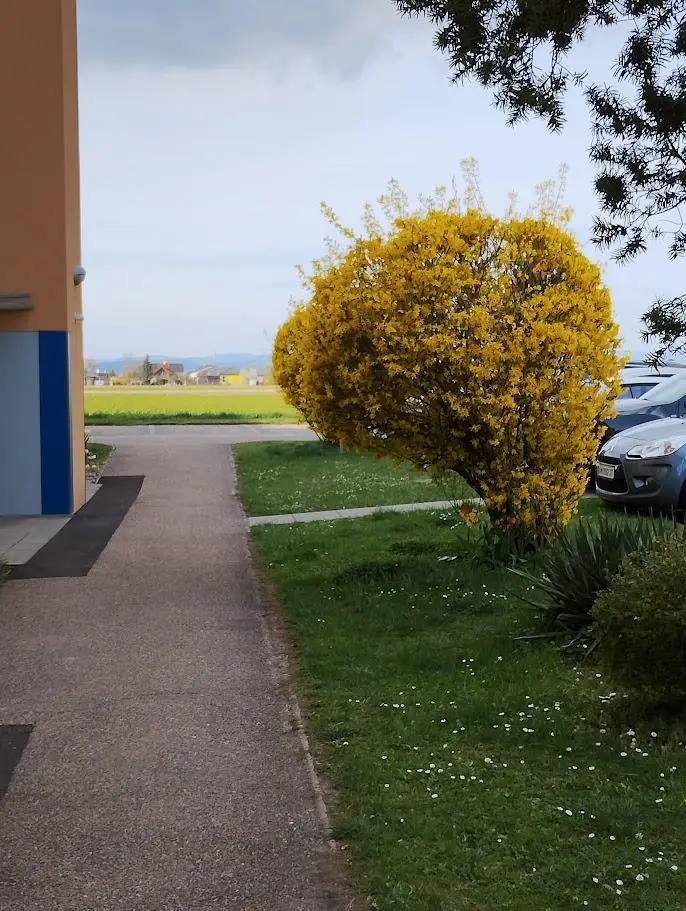 IMG_20250411_002925411