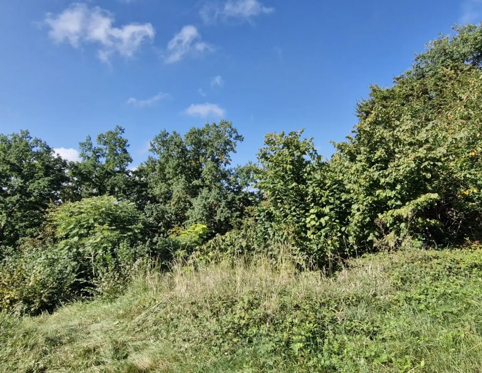 Wohnen mit Weitblick - Sechterberg 85, Feldkirchen an der Donau