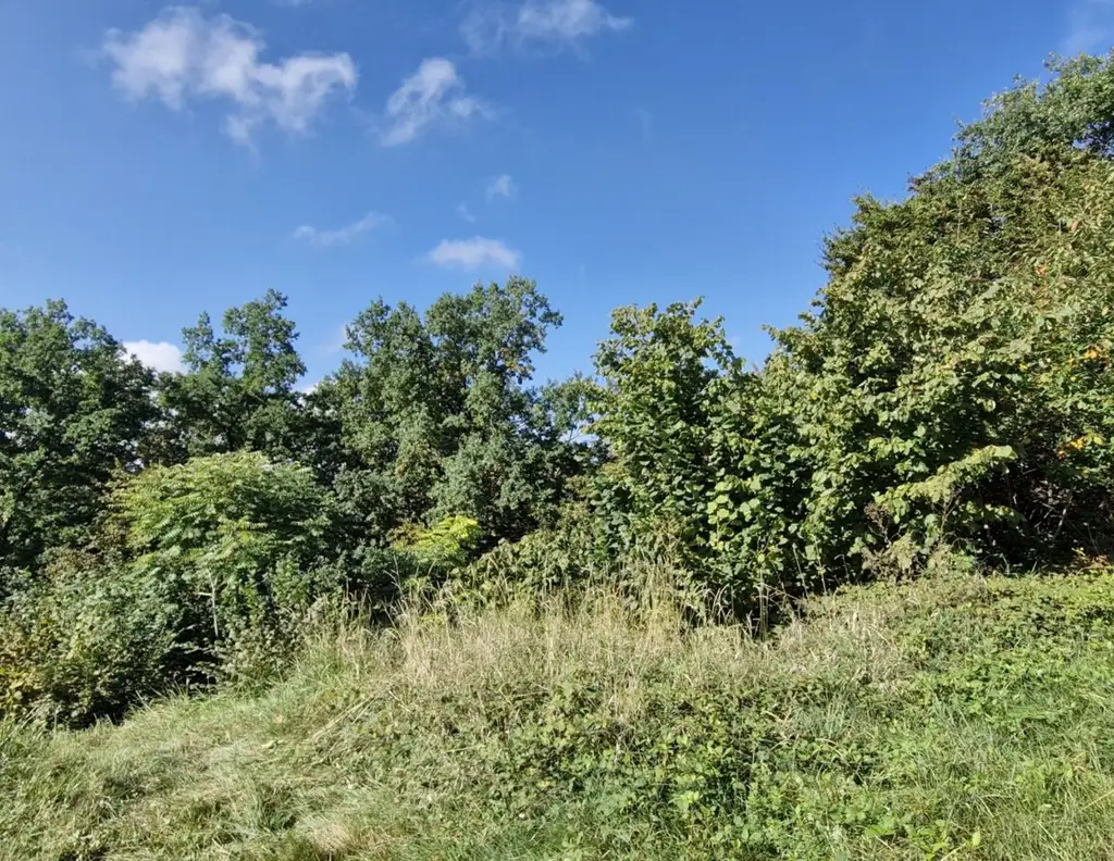 Wohnen mit Weitblick - Sechterberg 85, Feldkirchen an der Donau