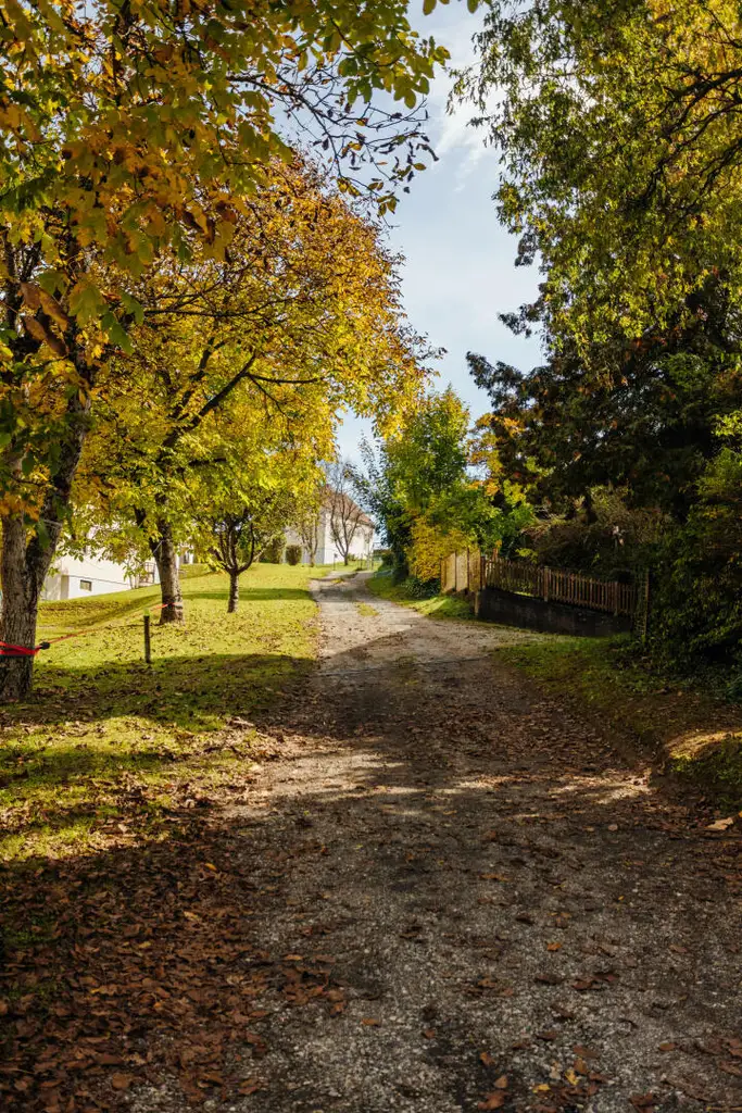 Baugrund mit altem Gebäude und Bauerwartungsland mit Weganteil im Zentrum von Hengsberg