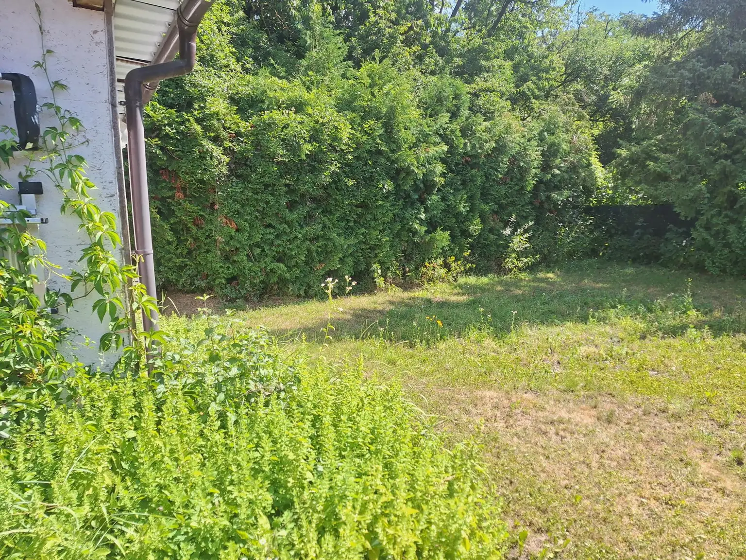 LIEBEVOLL SANIERTER BUNGALOW IN BEGEHRTER WOHNLAGE SAMT HOHER LEBENSQUALITÄT UND GUTER VERKEHRSANBINDUNG