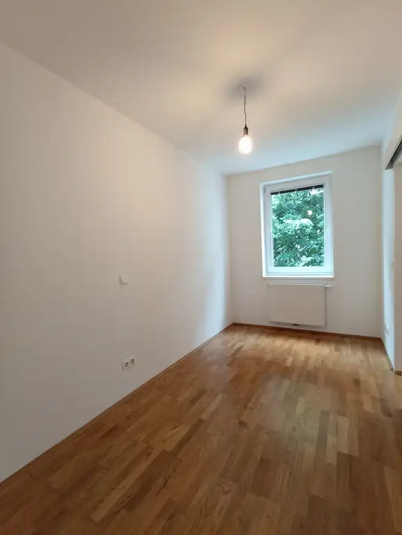Zimmer