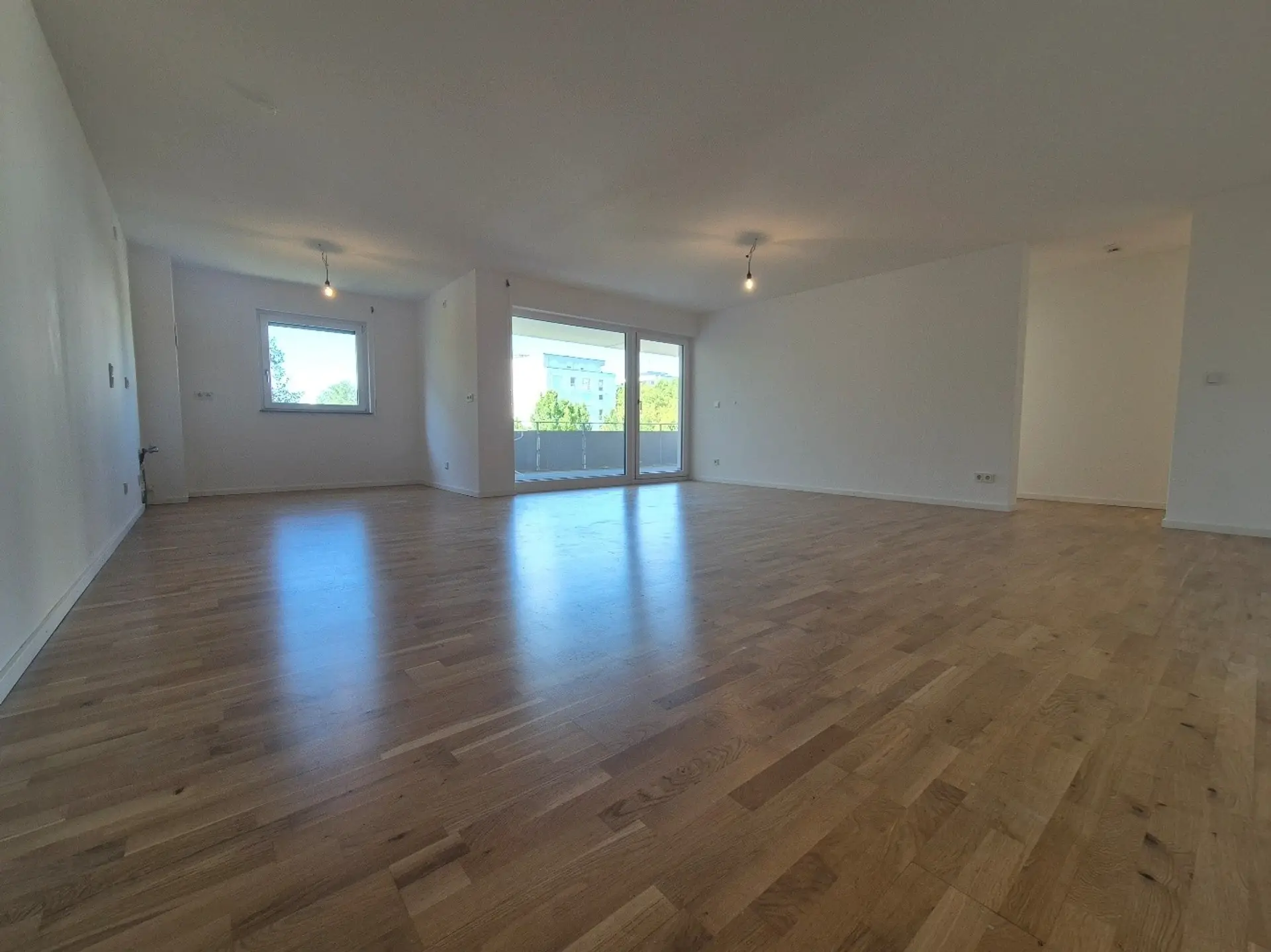 Wohn-Esszimmer unmöbliert