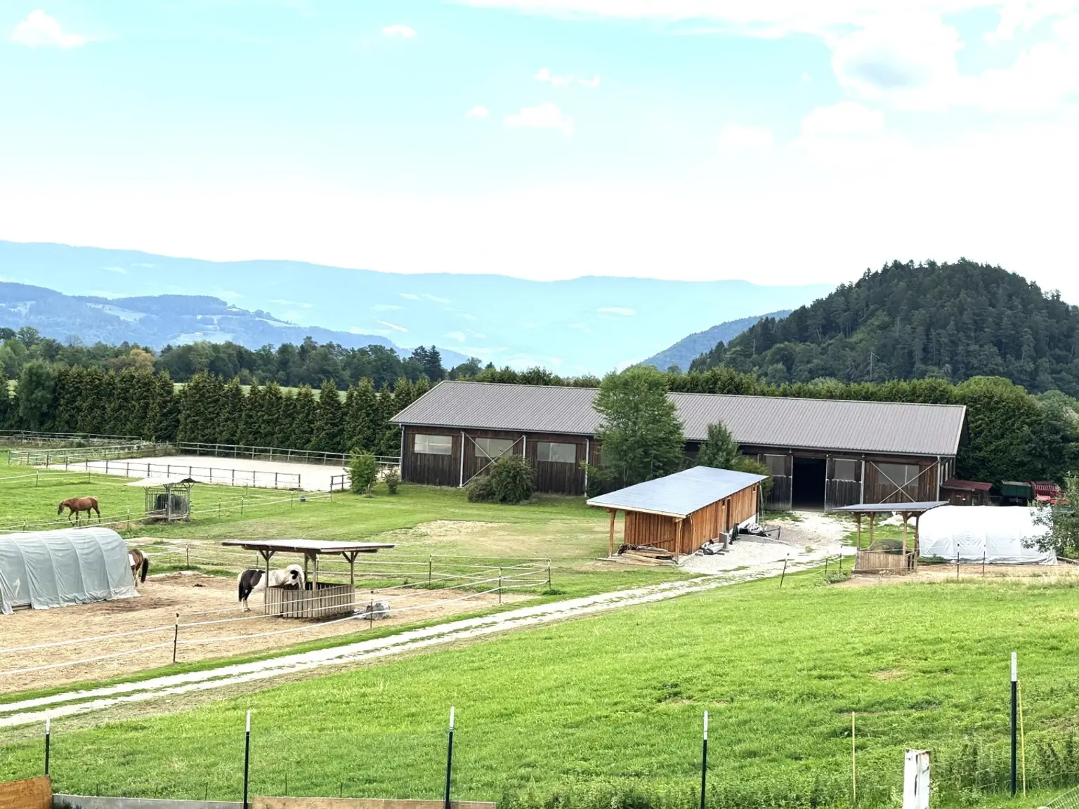 KLEINLANDWIRTSCHAFTLICHES JUWEL! CA.10 HEKTAR WALD! WIESEN! BETRIEBSFLÄCHEN!