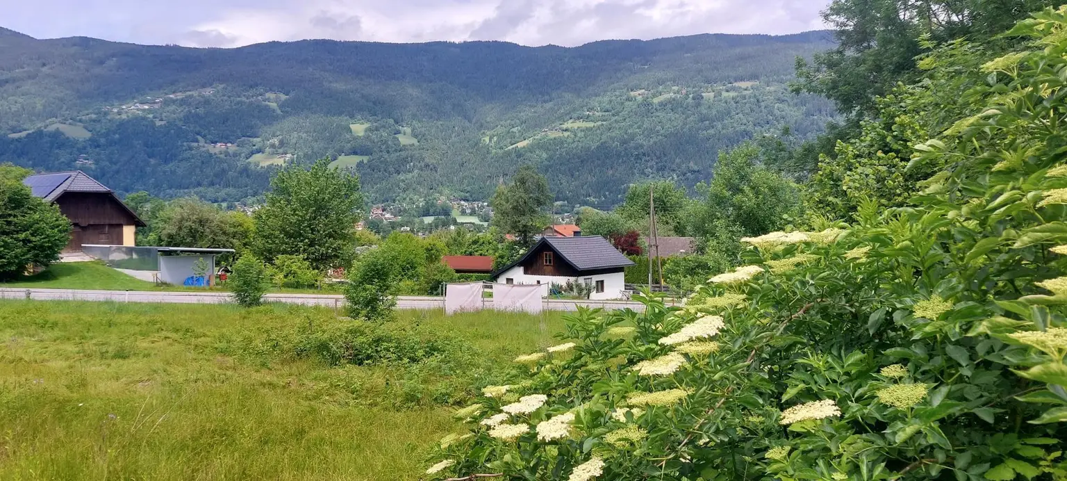 Natur pur