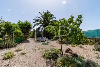 Anwesen-Granadilla-xxx-Teneriffa-37