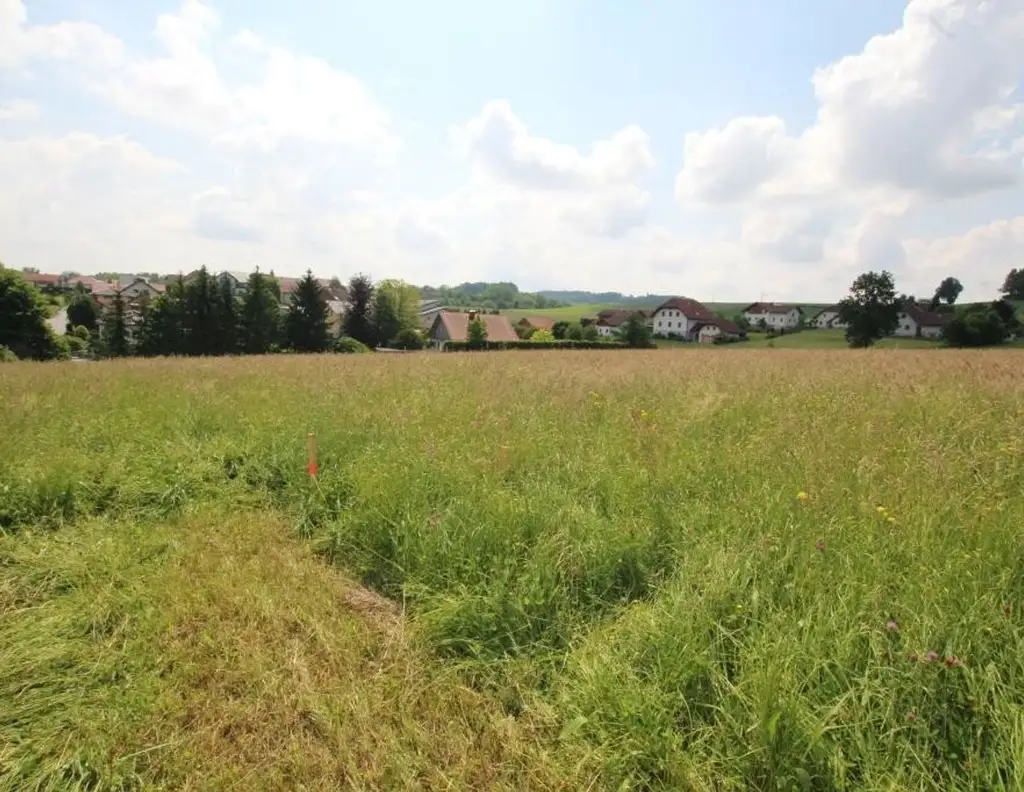 1227 m² Grundstück in einer ruhigen Siedlung in 4760 Raab zu kaufen