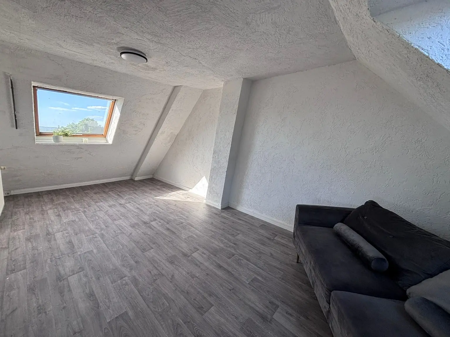 Zimmer DG