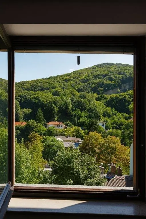 Blick_aus_dem_Fenster_eingangsseitig_