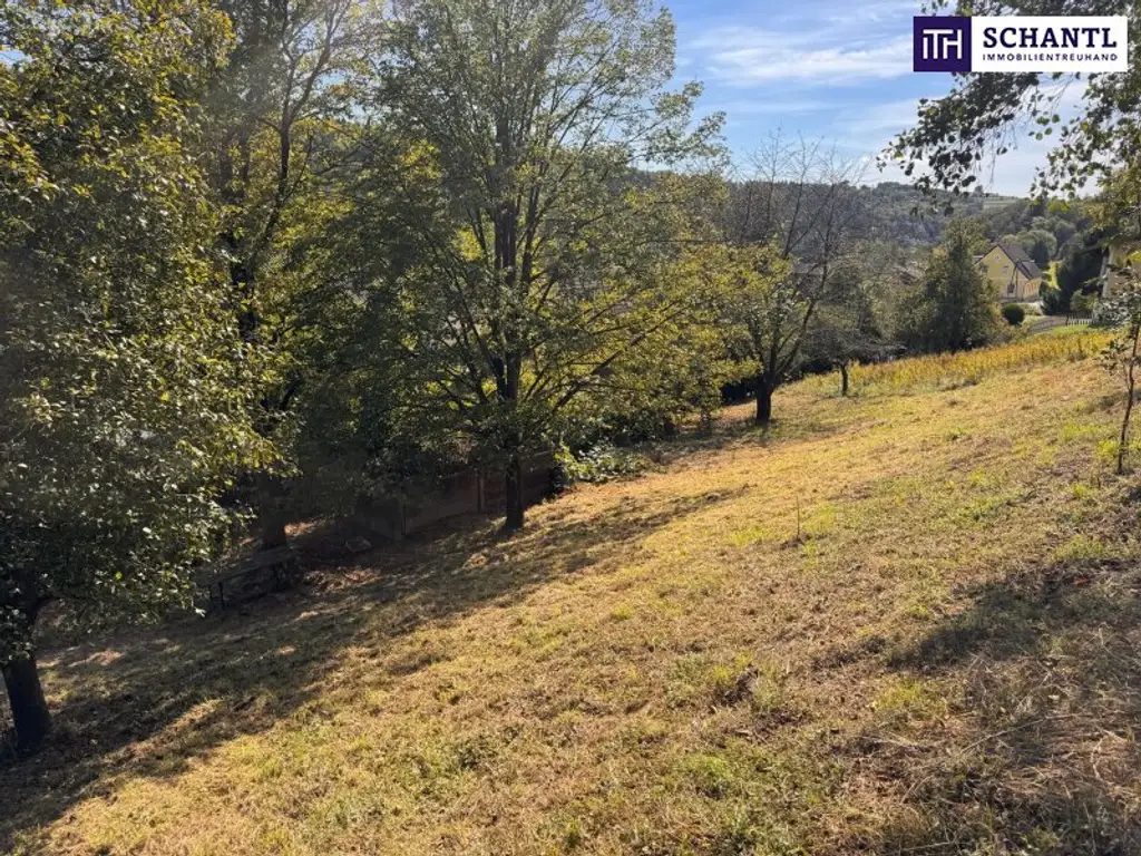 PREISREDUKTION! Attraktiver Baugrund inkl. Bewilligung für Wohnbauprojekt mit 4 Doppelhaushälften! Jetzt Anfragen!