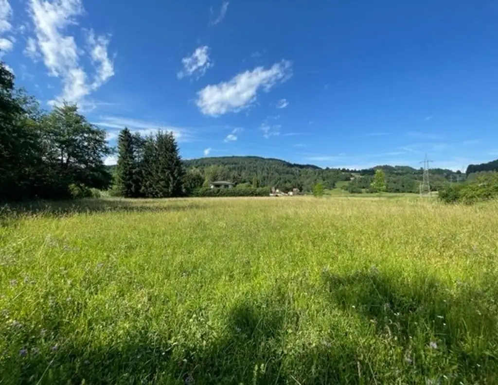 Schöne landwirtschaftliche Flächen mit 3.208m² - Nähe Hafnersee - Kein Baugrund!