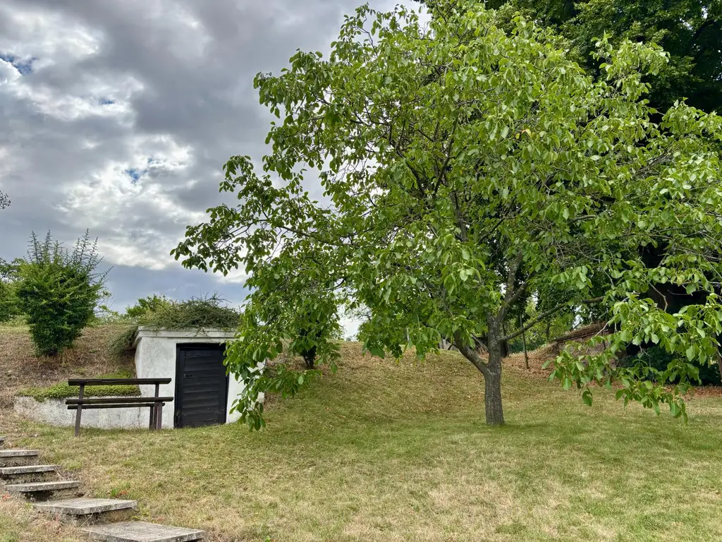 Tolles Einfamilienhaus mit großem Grundstück