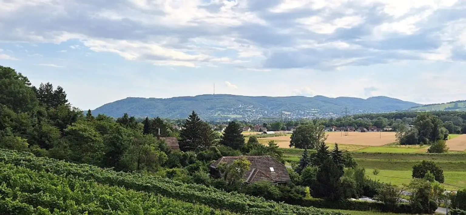 Helles Reihenhaus mit Fernblick und 2 Stellplätzen