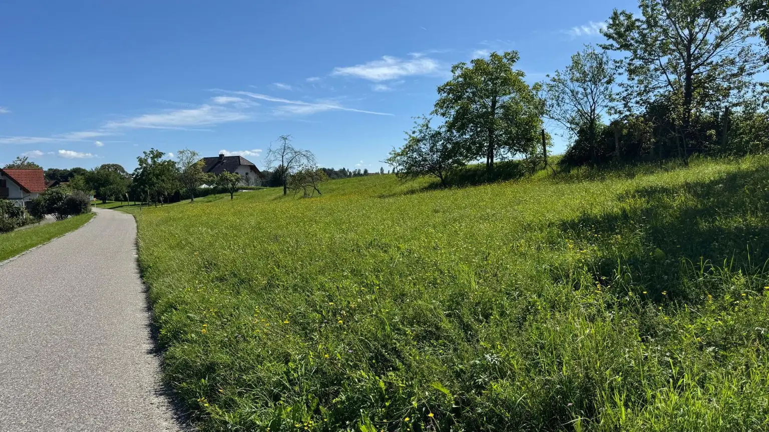 Sonniges Baugrundstück in idyllischer Lage – Edelsgrub, 8302 Nestelbach