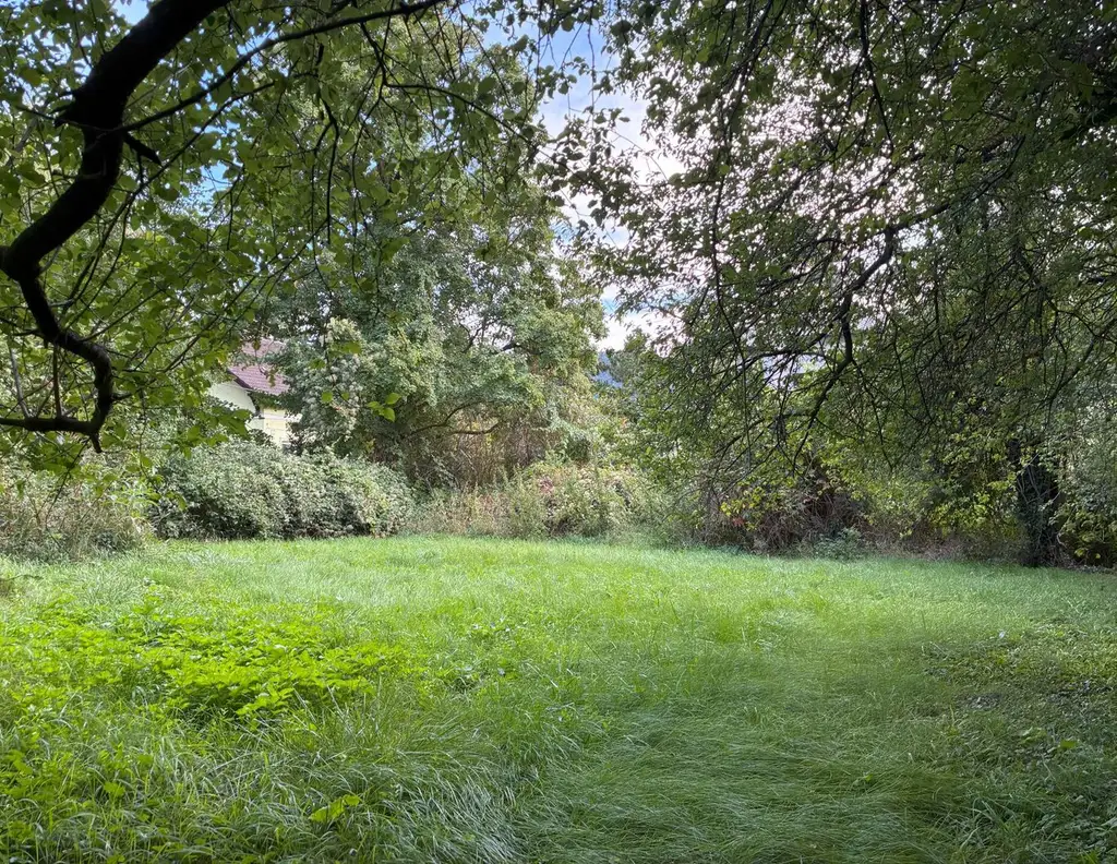 Exklusives Baugrundstück in begehrter Lage in Hinterbrühl - zu kaufen in 2371 Hinterbrühl