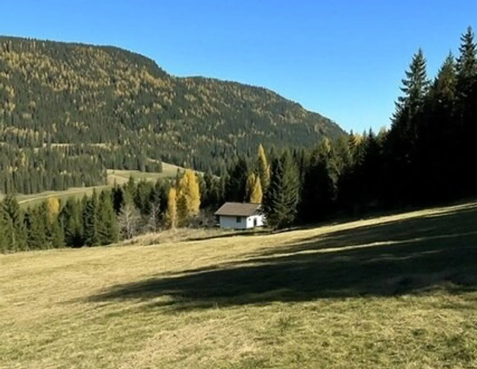 +++ 22,89 ha Wald- und Wiesenliegenschaft mit Haus und eigener Quelle in ruhiger Traumlage zu verkaufen+++