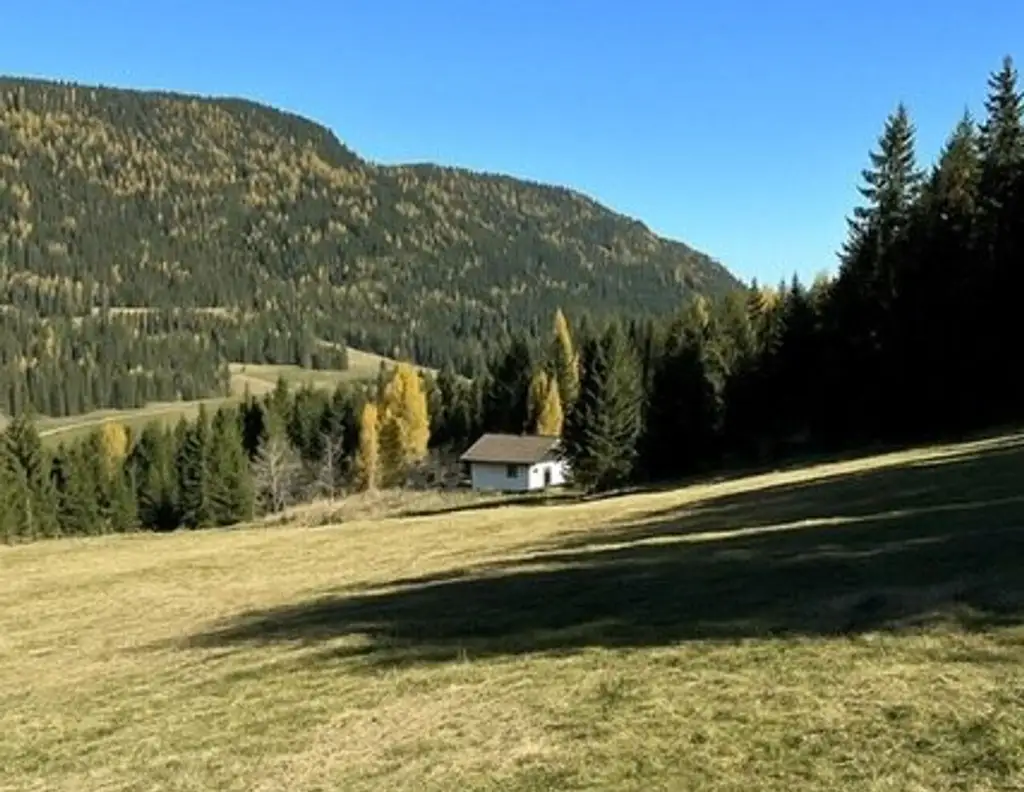 +++ 22,89 ha Wald- und Wiesenliegenschaft mit Haus und eigener Quelle in ruhiger Traumlage zu verkaufen+++