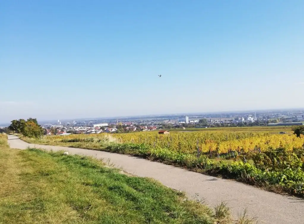 Naturidylle am Anninger - Kleingartenhaus mit großem Garten !