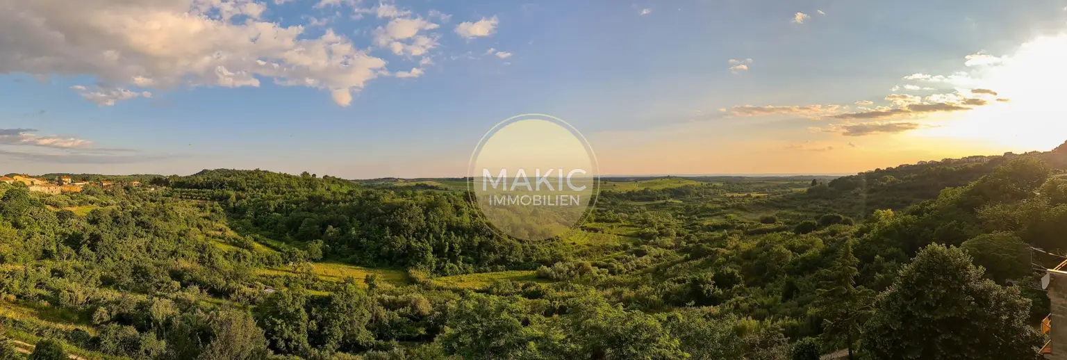 NG Rudine-8-buje_2023-1