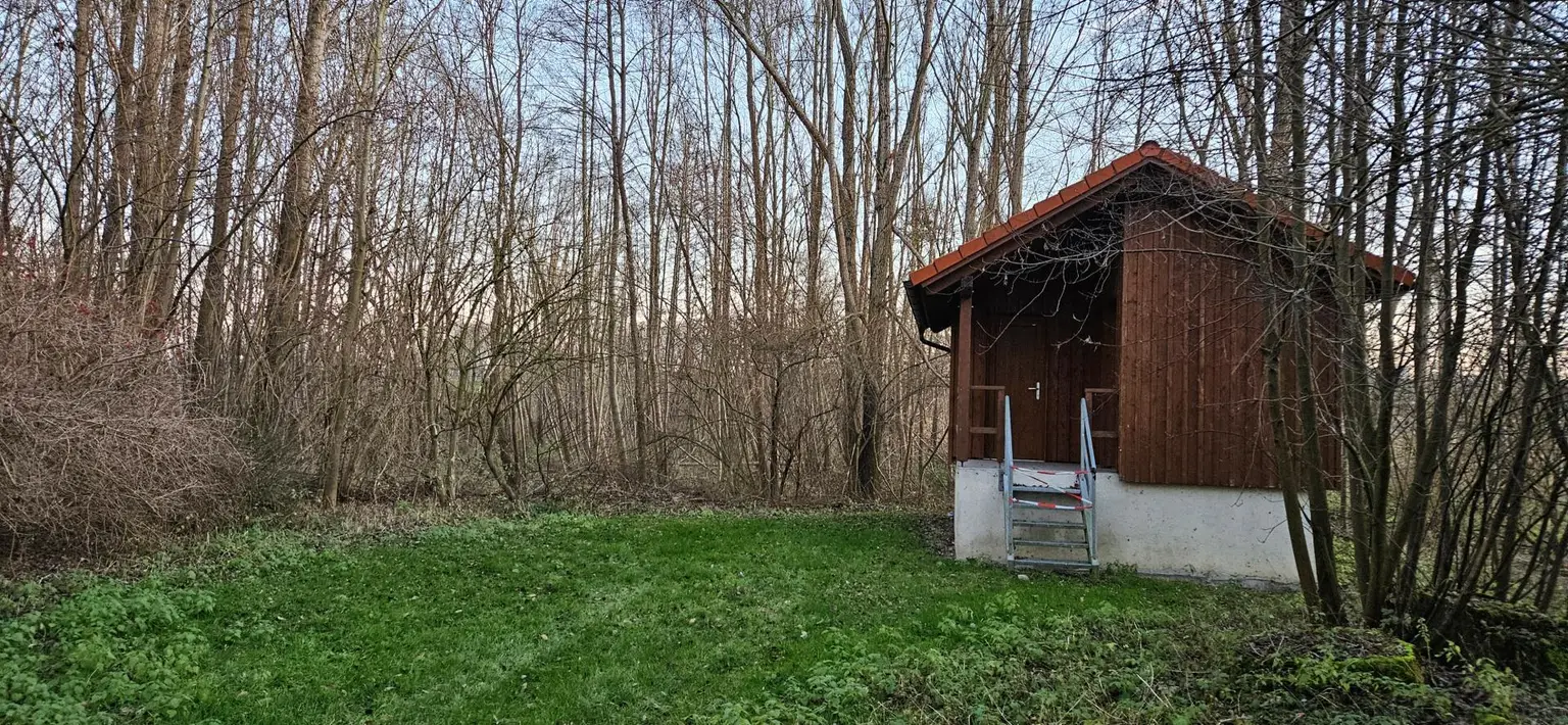 Weidefläche