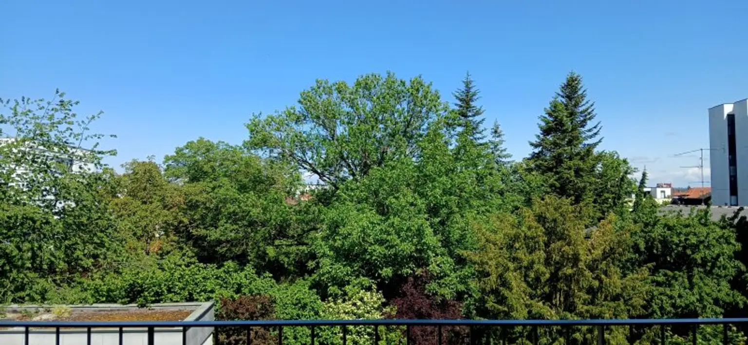 Wunderschöne 2 Zimmerwohnung mit großem Balkon im Zentrum
