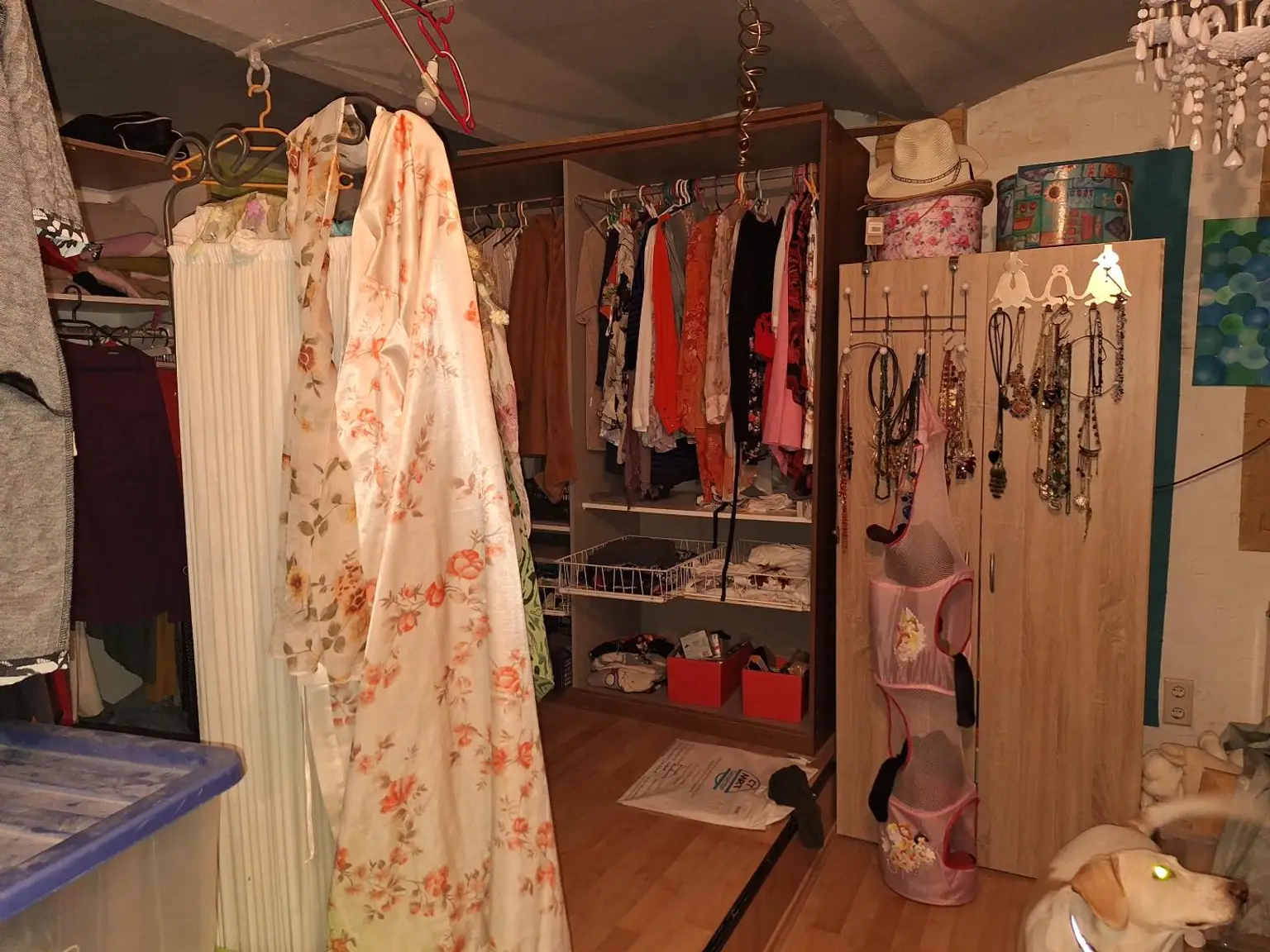 Villa Kunterbunt für Heimwerker / interessantes, kreatives und fröhliches Einfamilienhaus mit 5 Zimmern in ruhiger Seitengasse.