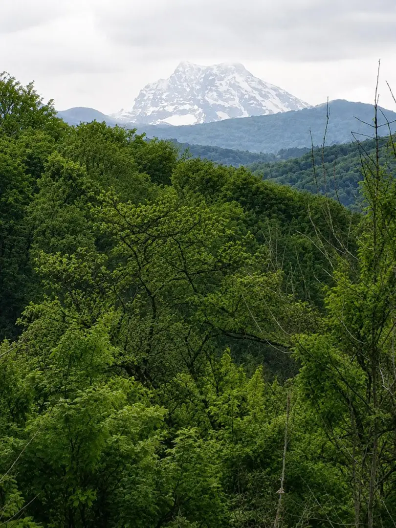 04 Ausblick Ötscher
