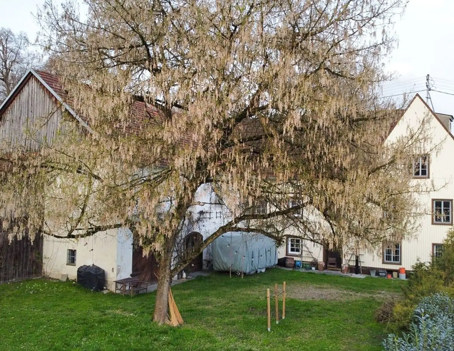 Historische Mühle in Schlossnähe - vielseitige Nutzung möglich