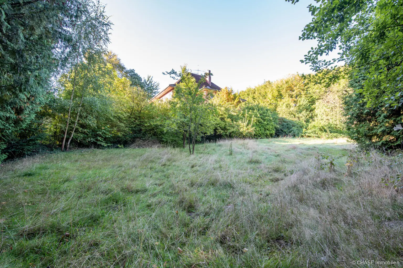 Bodenansicht, Baugrundstück