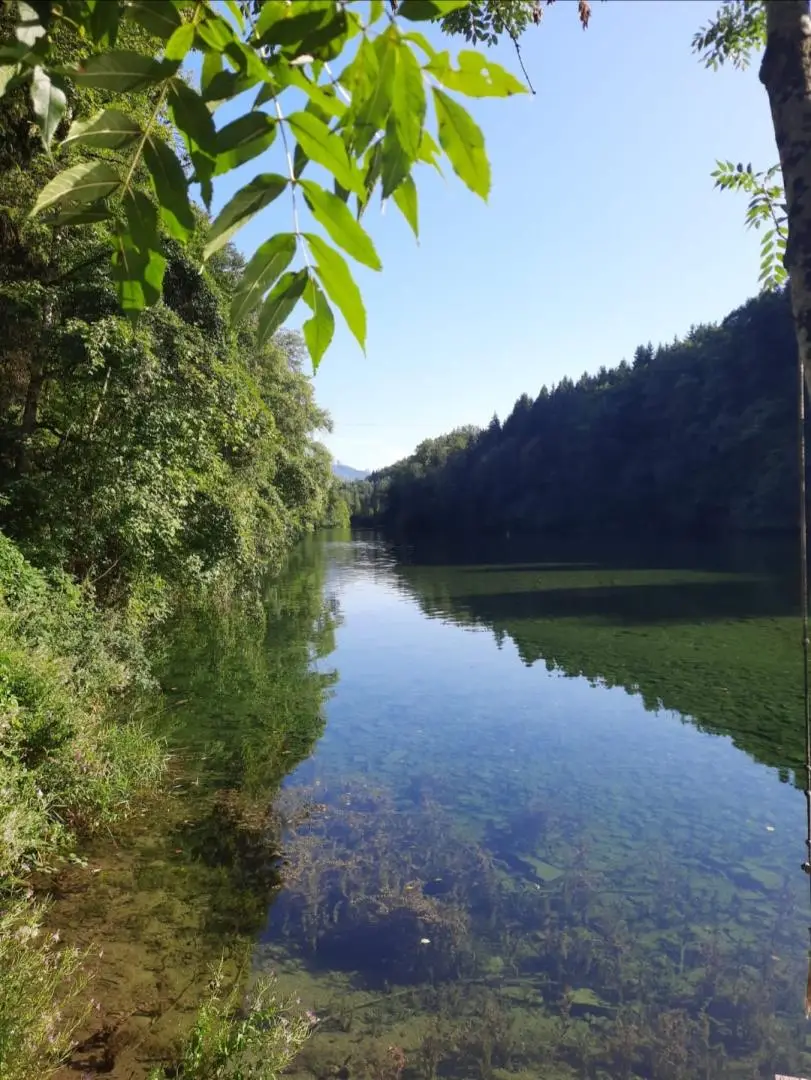 Traun Nähe