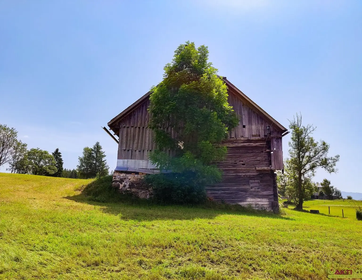 Großes Freiland-Grundstück mit Altbestand in Hochebenenlage bei Kammersberg.