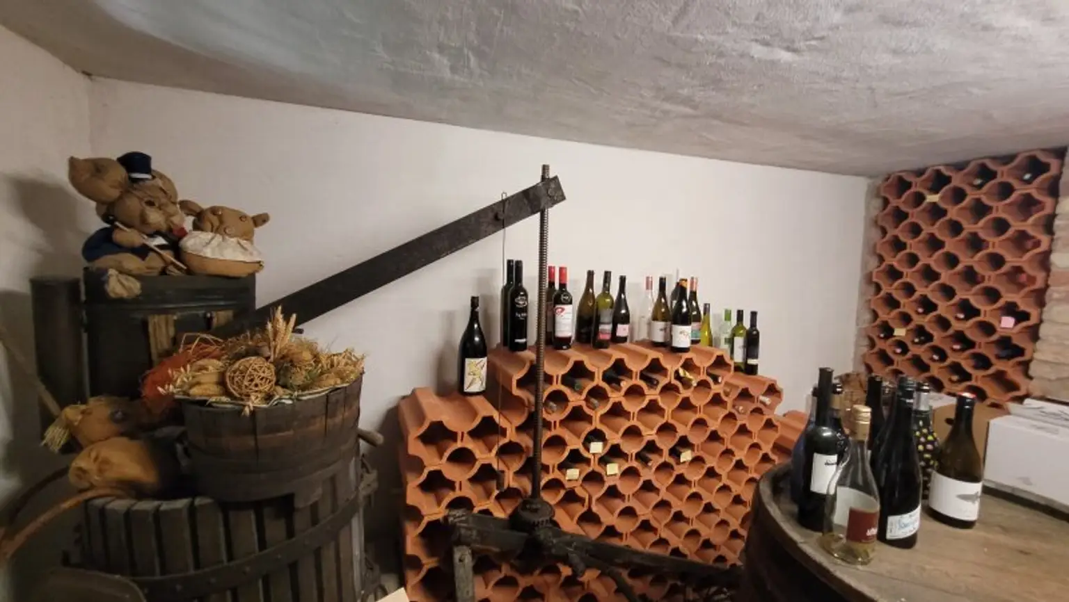 Traumhaus mit großem Garten