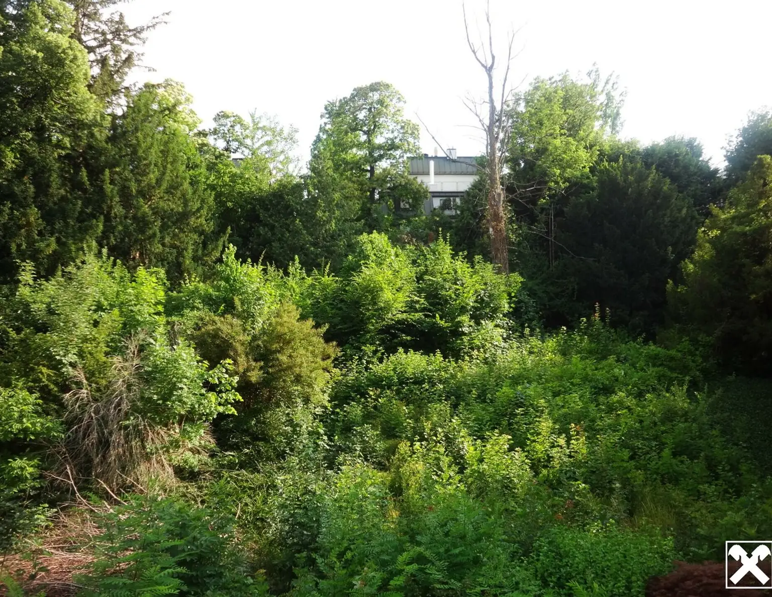 Beste Lage mit Schutzzone !!! Großes Grundstück mit Altbestand !