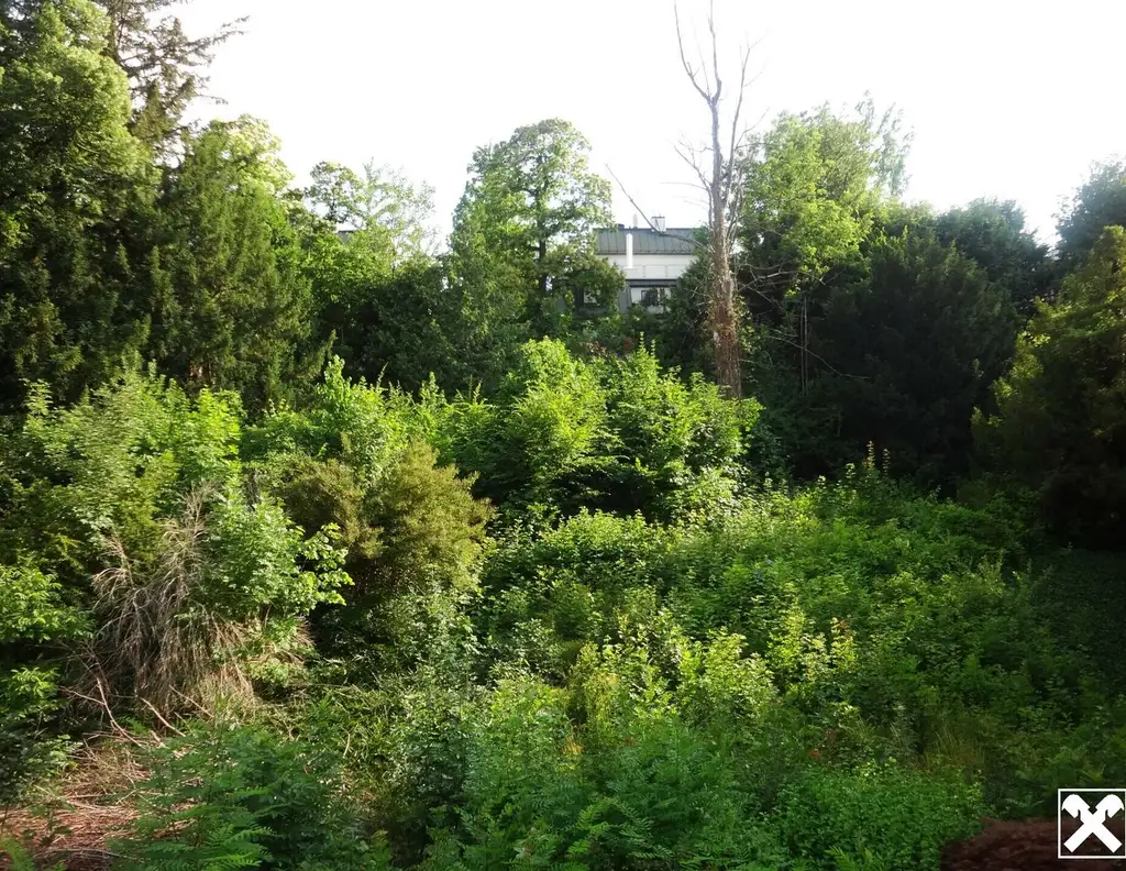 Beste Lage mit Schutzzone !!! Großes Grundstück mit Altbestand !