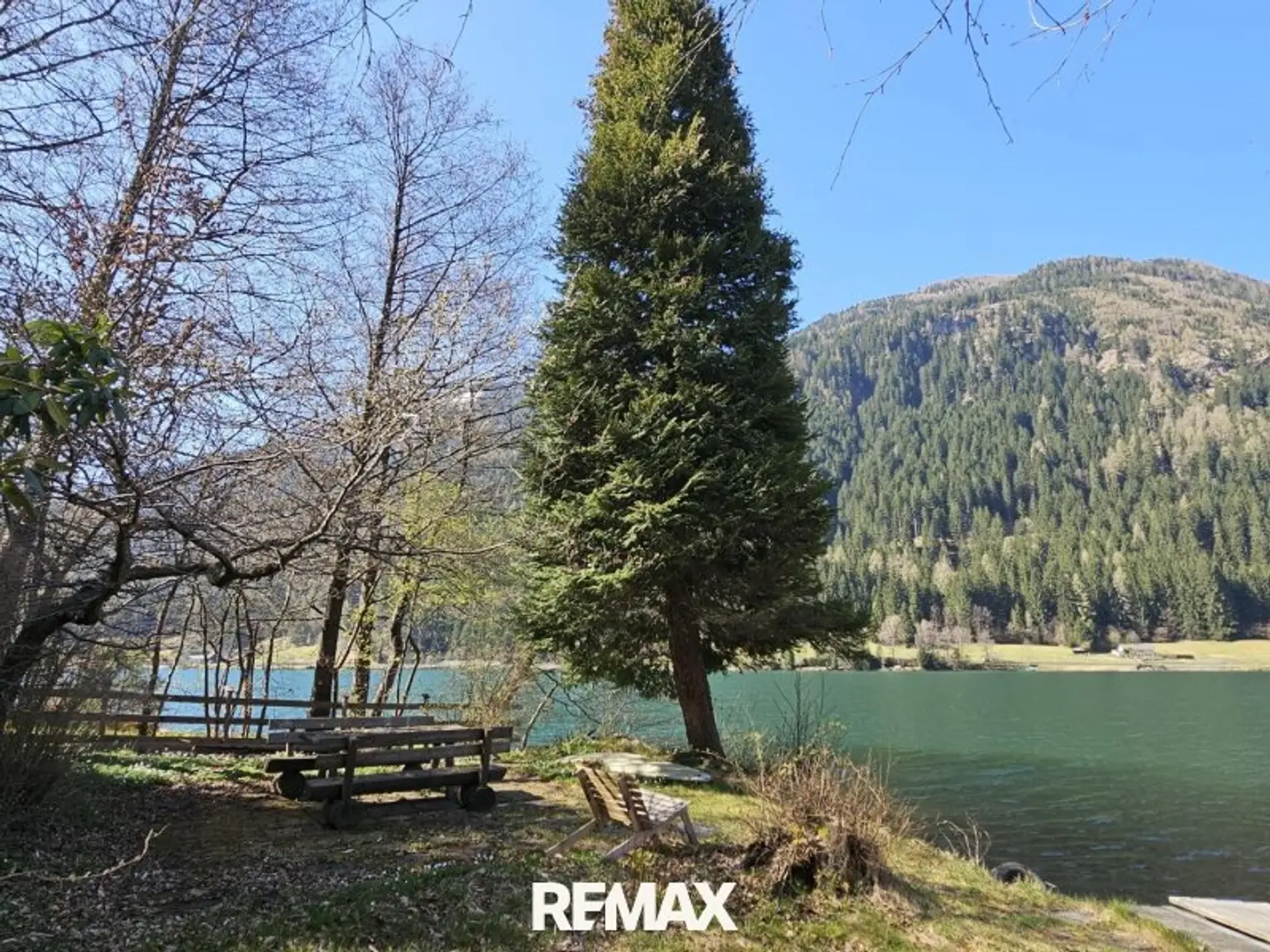 Frühling am Seegrund