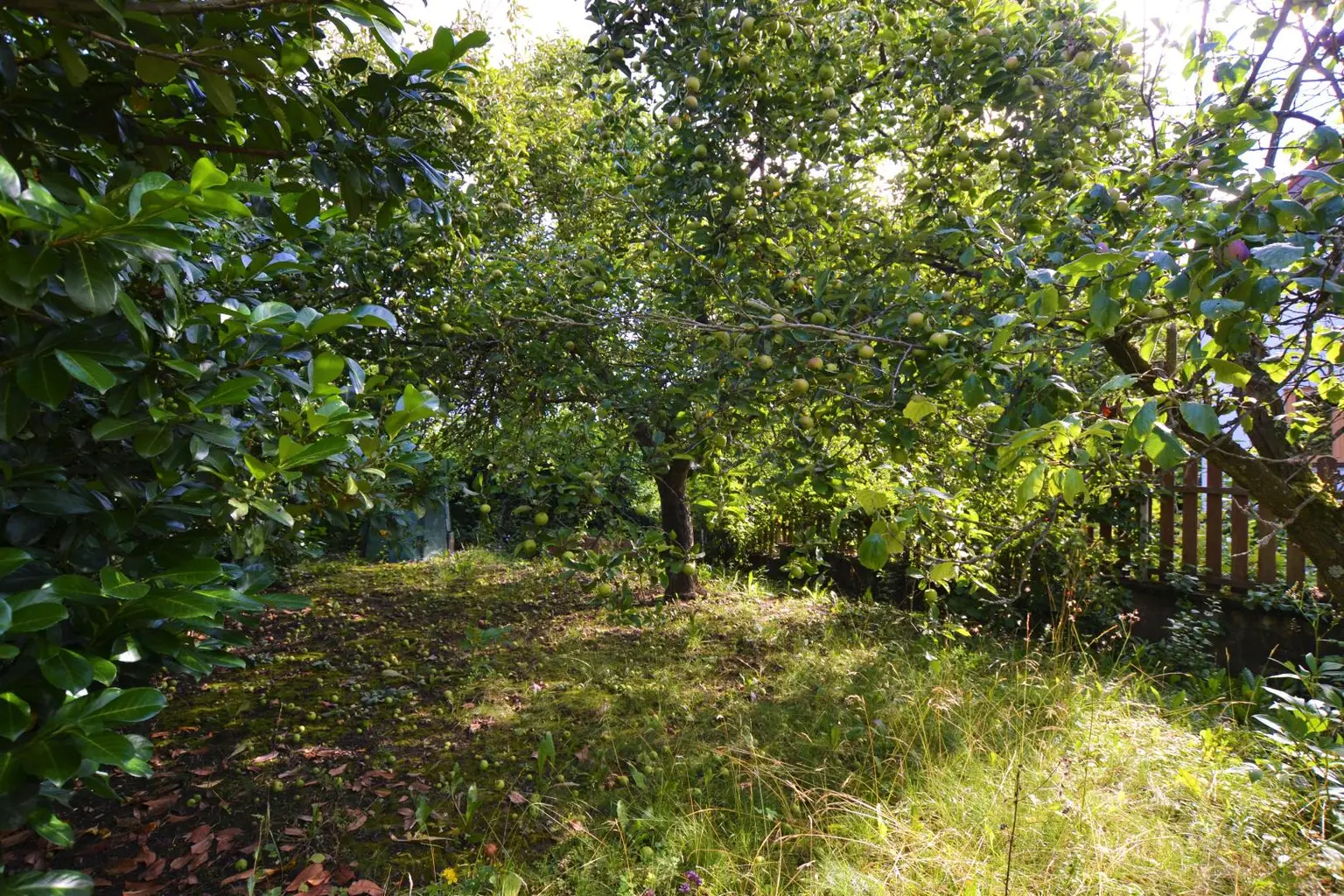 Familientraum in Mauerbach: Reihenhaus mit Garten, Terrasse & Potenzial