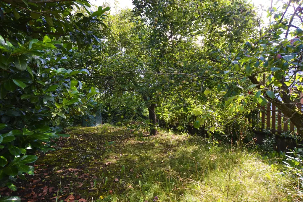 Familientraum in Mauerbach: Reihenhaus mit Garten, Terrasse & Potenzial