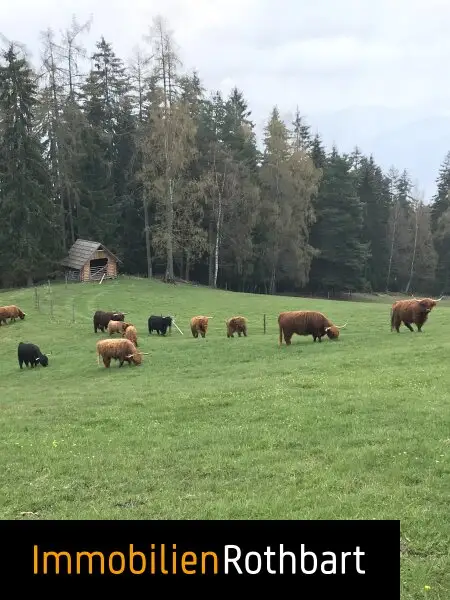 Neuwertiger Bauernhof in sonniger Lage
