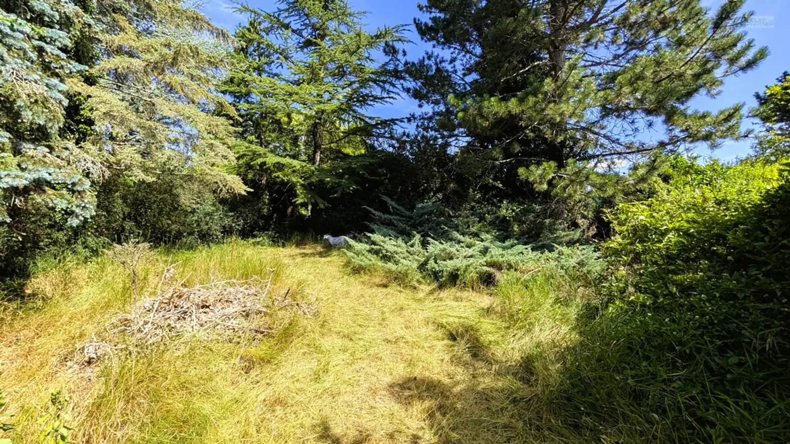 Gartenansicht