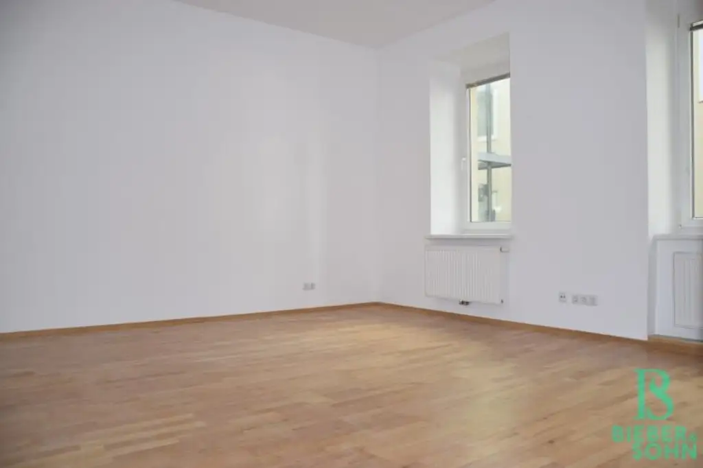 Mitten im 5.! Westterrasse - Top renovierte, große, sonnige Wohnung - Ruhelage