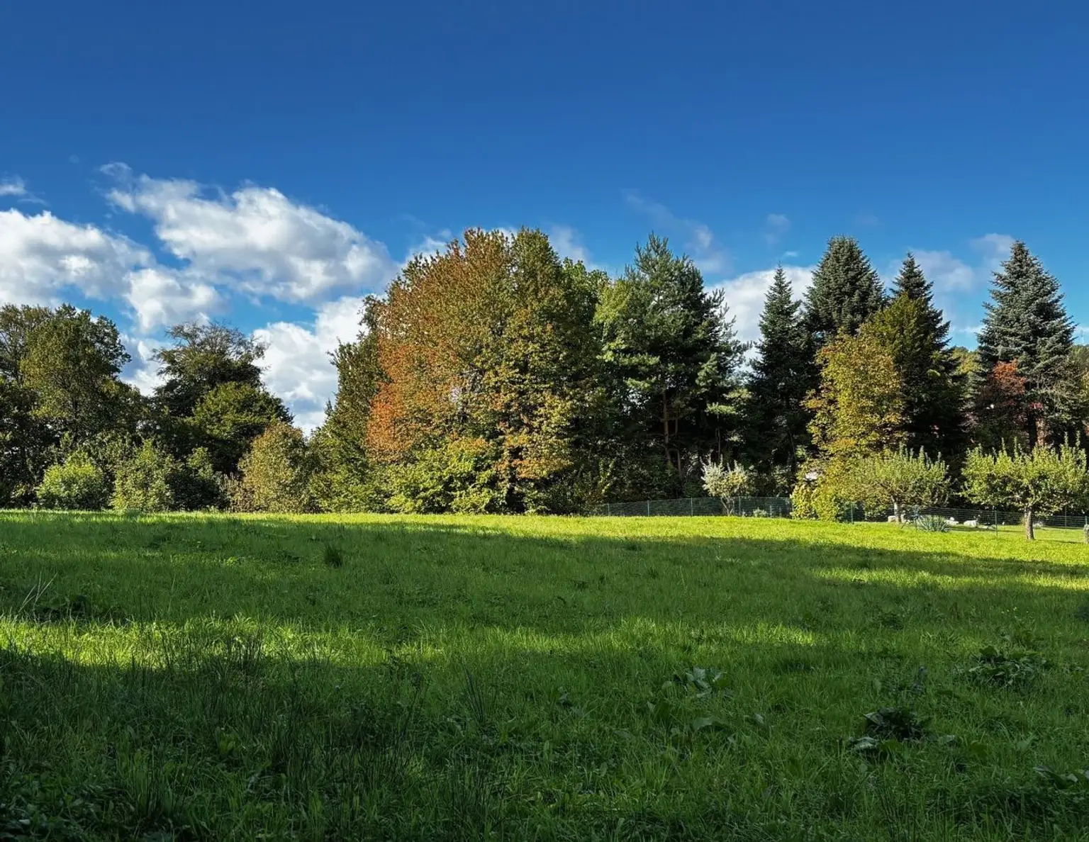 Baugrund G08 in ruhiger Aussichtslage, weitere Grundstücksgrößen verfügbar
