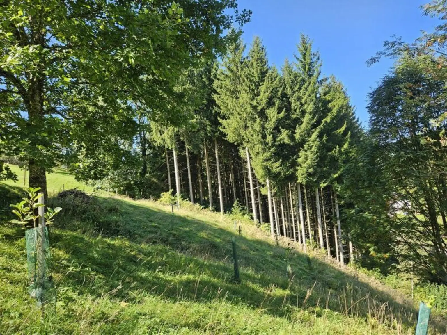 K1024_20250919_115300