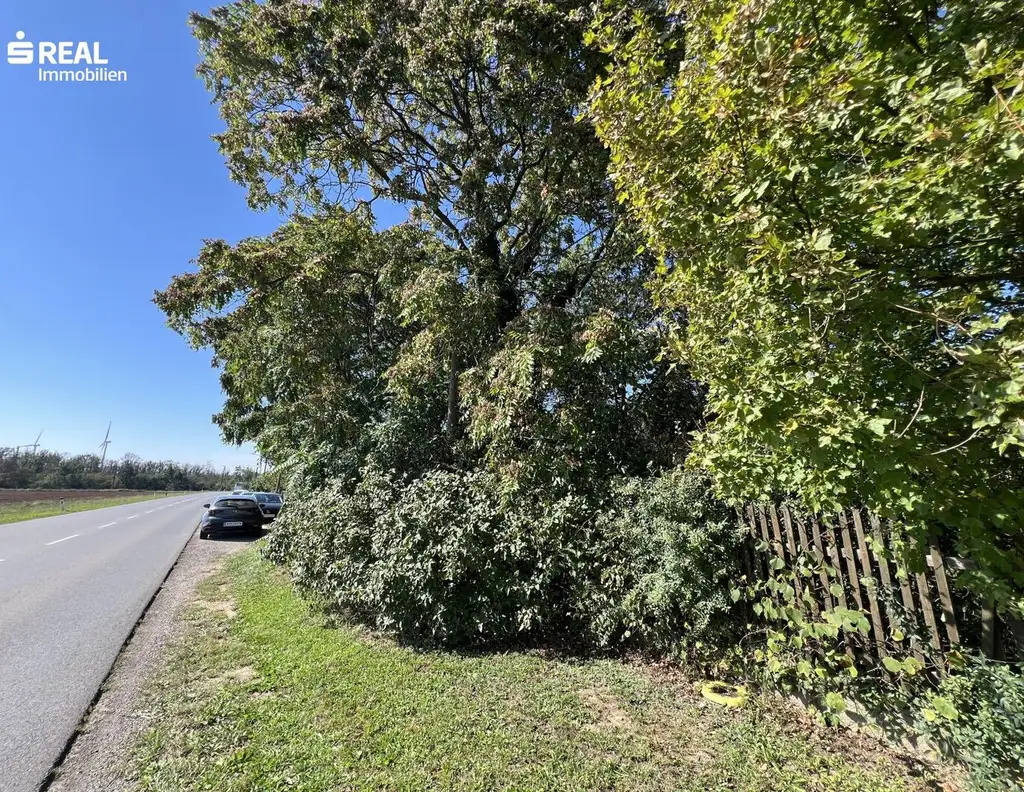 Baugrundstück in Top-Lage - perfekt für Familien