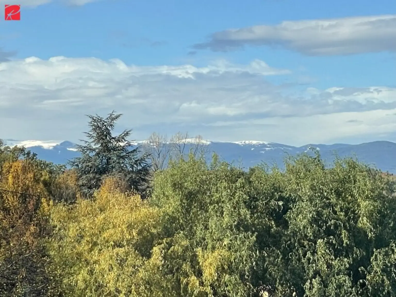 Stilvoller Wohntraum mit sonnigem Garten