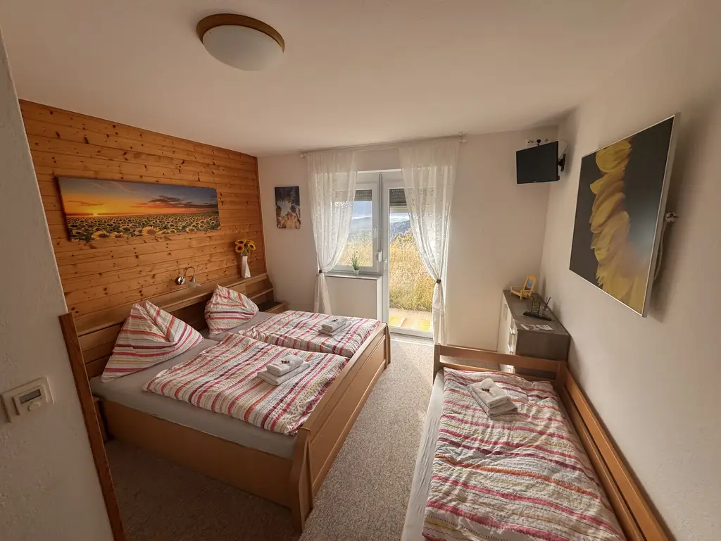 Gästehaus mit 10 Zimmern, privater Wohnung, Restaurant inklusive moderner Gastroküche und Nebengebäude – Ihre perfekte Investitionsmöglichkeit