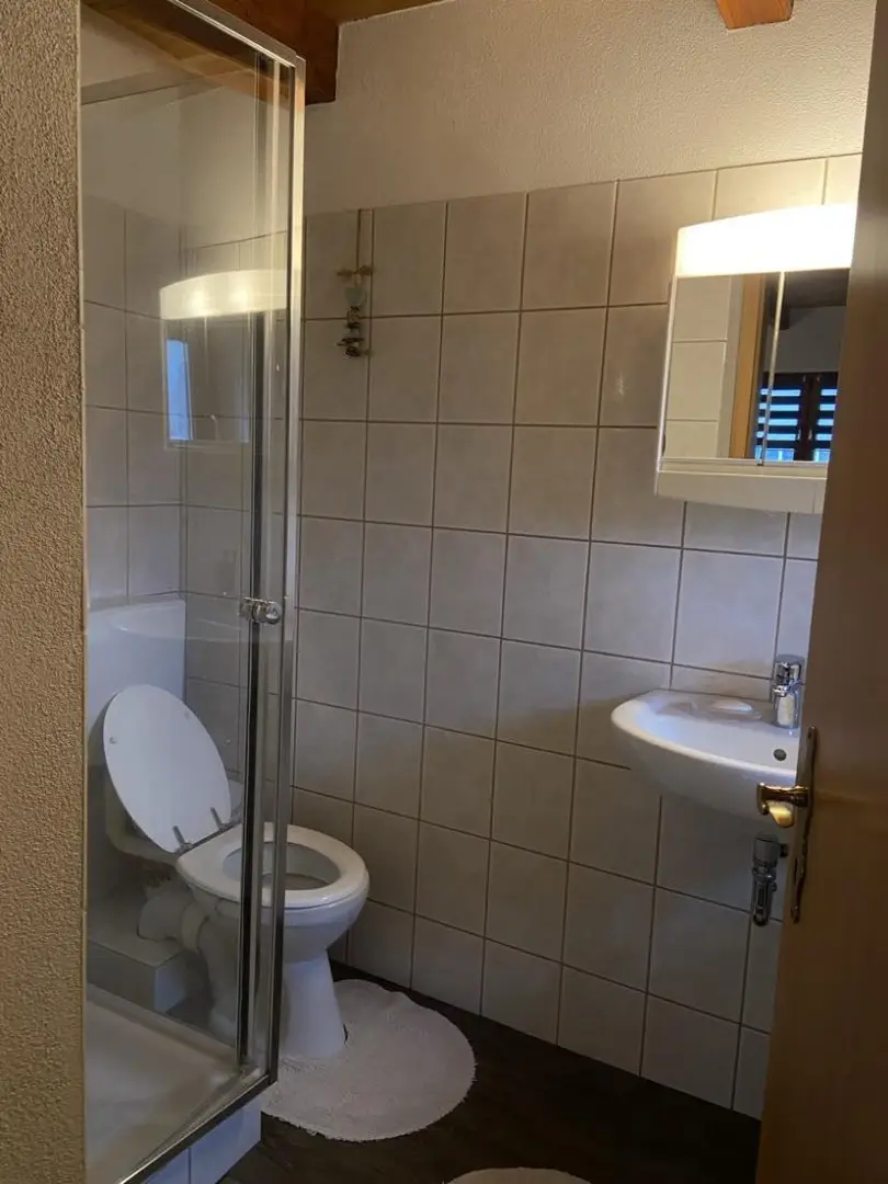 Gemütliche Wohnung im Herzen von Altheim - beste Lage