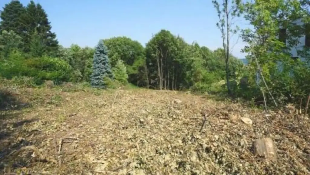 "Baugrund in bester Lage"