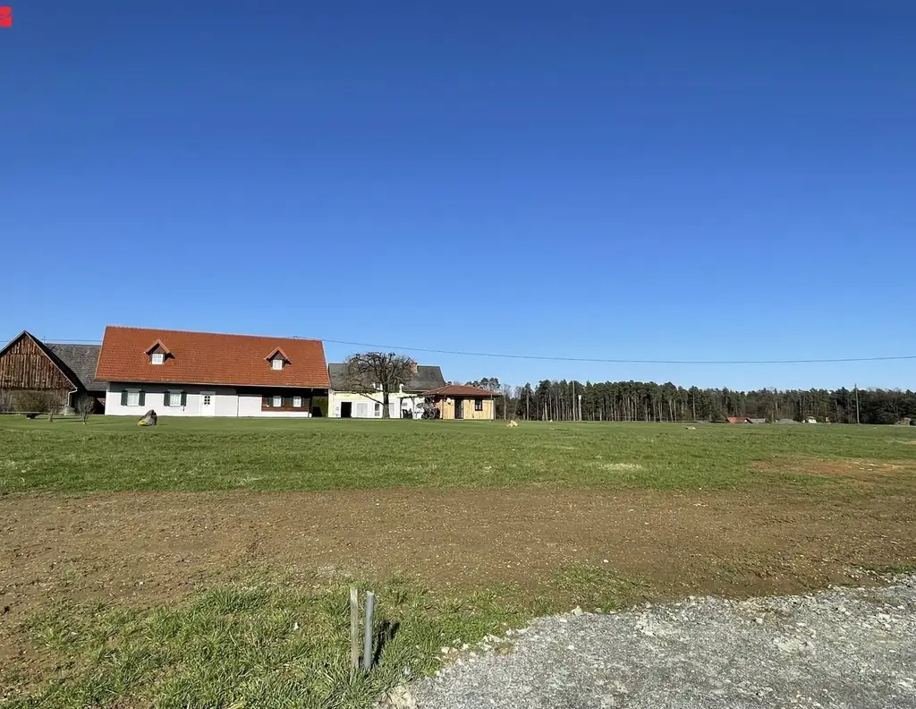 FRAUENTAL: Wo Träume wahr werden!