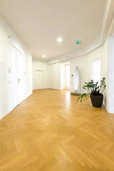 Repräsentative  Bürofläche/Praxis im Stilaltbau direkt beim Karlsplatz/Karlskirche  zu vermieten!
